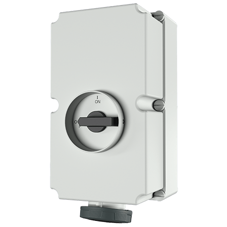 MENNEKES Wall mounted receptacle 6015A